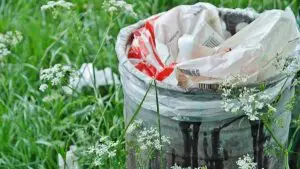 Cesto della Spazzatura in un campo,